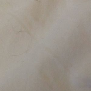 Meet your Posher, Jarin